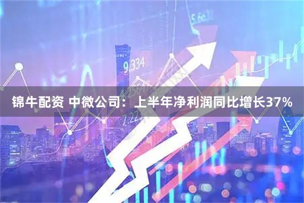 锦牛配资 中微公司：上半年净利润同比增长37%