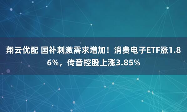 翔云优配 国补刺激需求增加！消费电子ETF涨1.86%，传音控股上涨3.85%