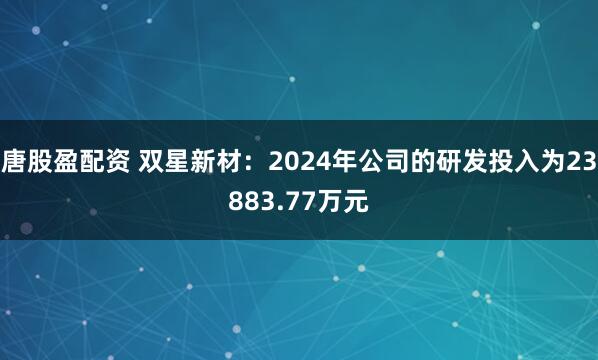 唐股盈配资 双星新材：2024年公司的研发投入为23883.77万元