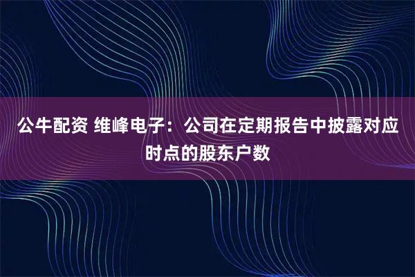 公牛配资 维峰电子：公司在定期报告中披露对应时点的股东户数